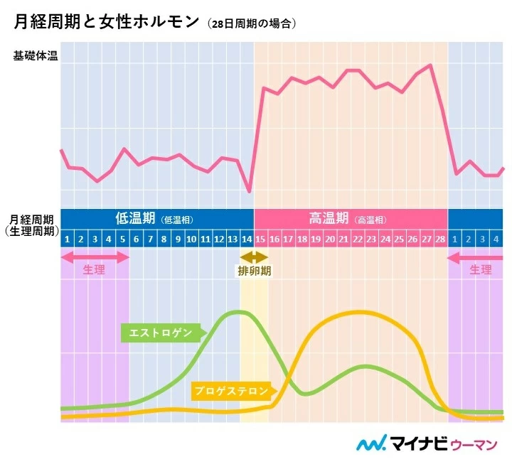 オンライン婦人科相談会に参加して